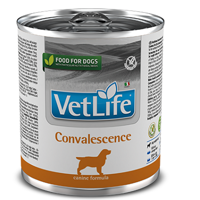 Farmina Vet Life Convalescence влажный корм для собак в период восстановления, выздоровления Паштет 300г