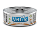 Farmina Vet Life Convalescence влажный корм для кошек в период восстановления, выздоровления Паштет 85г