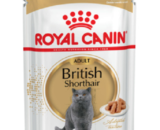 ROYAL CANIN British Stronghair влажный корм для взрослых кошек породы Британская короткошерстная , соус 85г